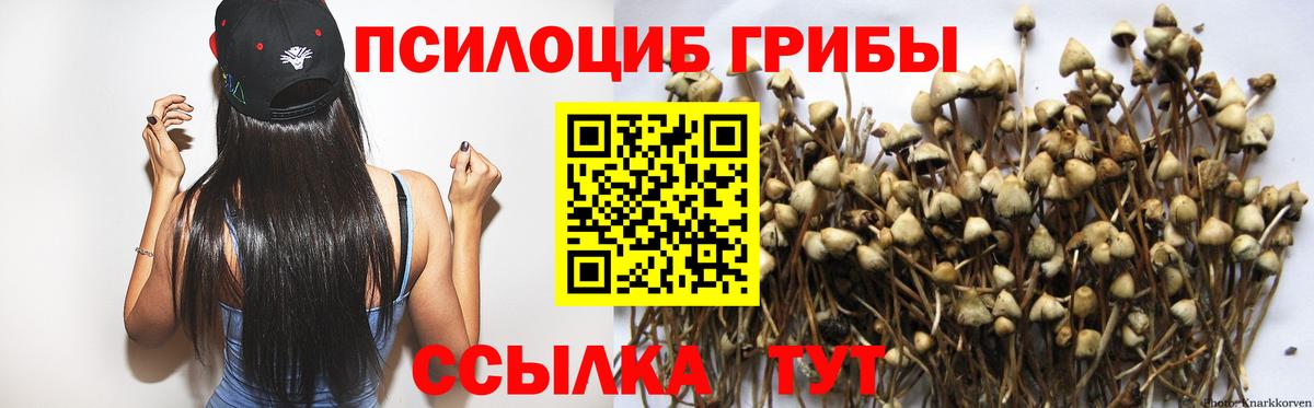 Псилоцибиновые грибы GOLDEN TEACHER  Псилоцибиновые грибы Magic Shrooms  Сухой Лог  наркошоп  Вход с VPN 