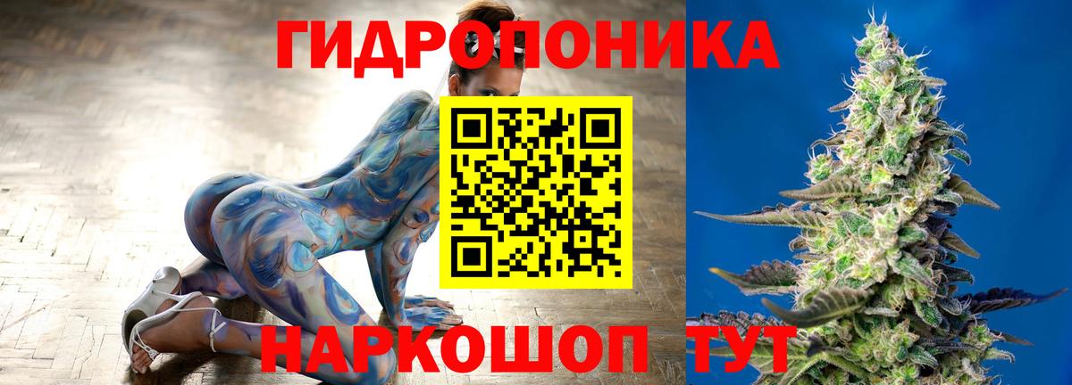 Шишки марихуана марихуана Сухой Лог